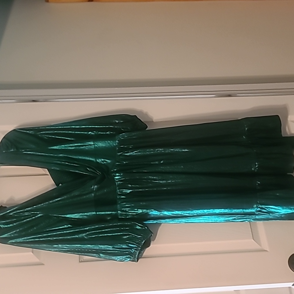 Baltic Born Shimmering Green Dress